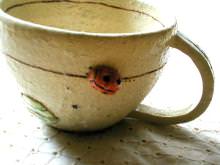 てんとう虫のお散歩